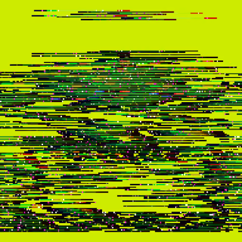 Robinhood Distorted #4891