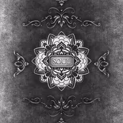 Chronicle Soul #14