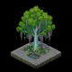 Tree of Life #2006