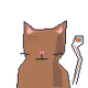 Moonwhisker Club