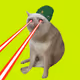 CashCatClub #3454