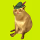 CashCatClub #8070