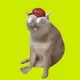 1726
