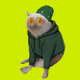 2559