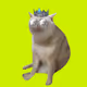 1423
