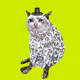 CashCatClub #3233