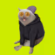 CashCatClub #3240