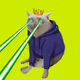 5904