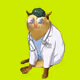 CashCatClub #3426