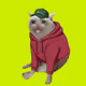 CashCatClub #4135