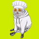 CashCatClub #4237
