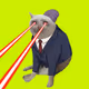 CashCatClub #3284