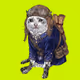 CashCatClub #4331