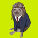 2314