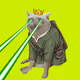 CashCatClub #3361