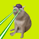 CashCatClub #2826