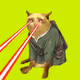 CashCatClub #5200