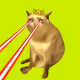 CashCatClub #8096