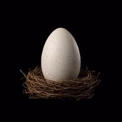 EGG