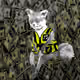 Cash Fox #320