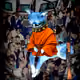 Cash Fox #72