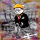 Cash Fox #69