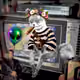Cash Fox #70