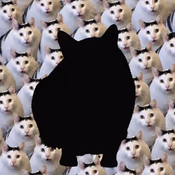 HUH??