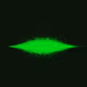 GreenTrace #757