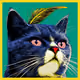 123 CATS #03501