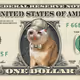 CashCat Dollar #363