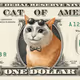 CashCat Dollar #350