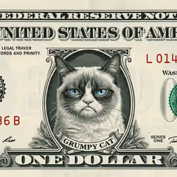 Grumpy Cat Reserve Note