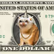 CashCat Dollar #631