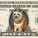 CashCat Dollar #399