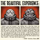 The Beautiful Experience