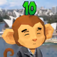 Chimp #500