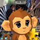 Chimp #481