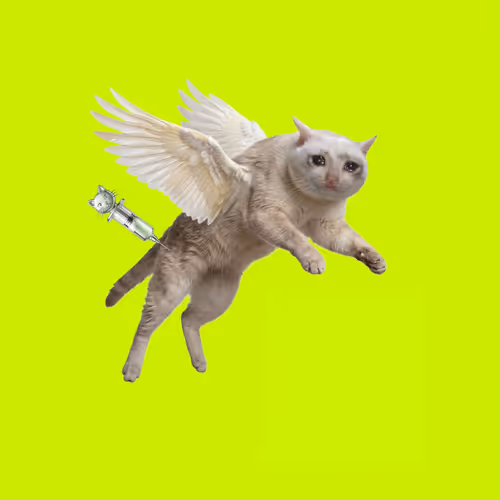 CATAMINE