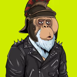 RH Orangs #437