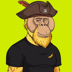 RH Orangs #339