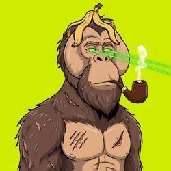 RH Orangs #839