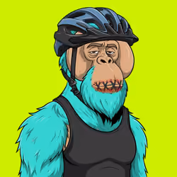 RH Orangs #360