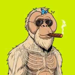 RH Orangs #329