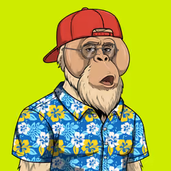 RH Orangs #184