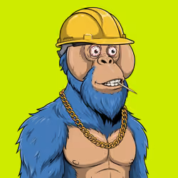 RH Orangs #1122