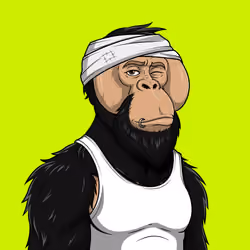 RH Orangs #1476