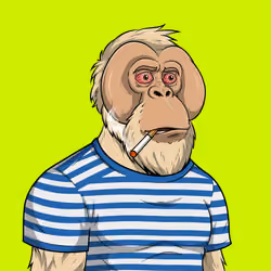 RH Orangs #338