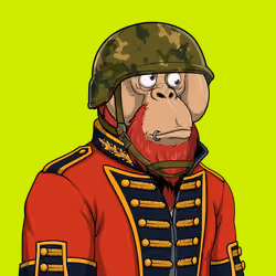 RH Orangs #1517