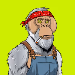 RH Orangs #1546